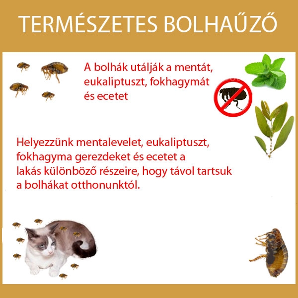 Természetes bolhaűző
