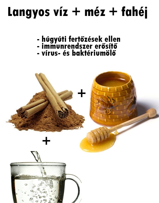 Természetes gyógymód: fahéj és méz. Tényleg működik?