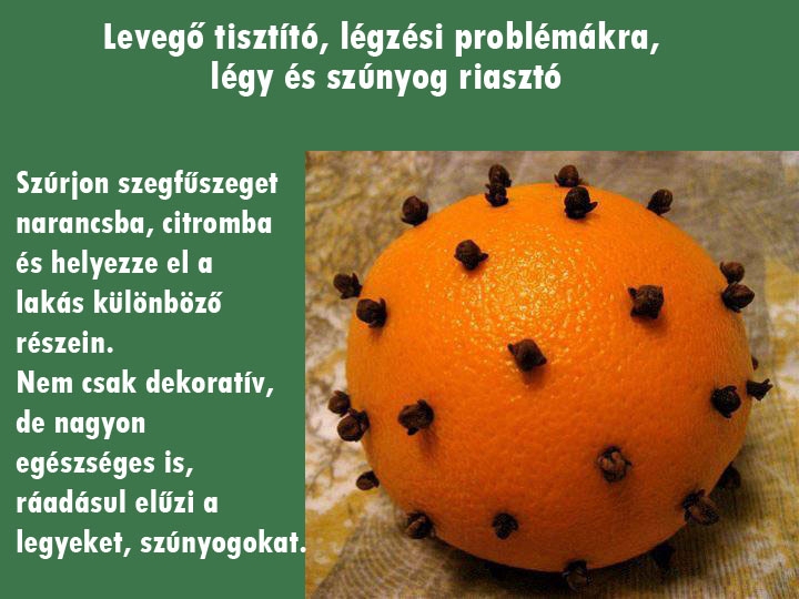 Természetes légfrissítő
