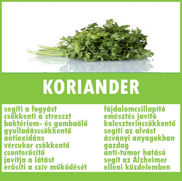 Koriander