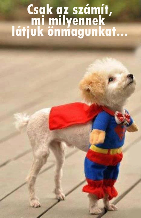Csak ez számít