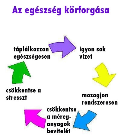Az egészség körforgása