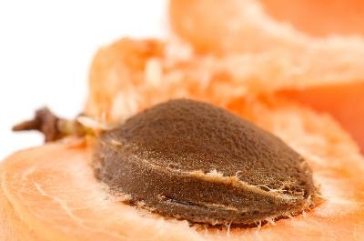 Sárgabarackmag, B17 vitamin