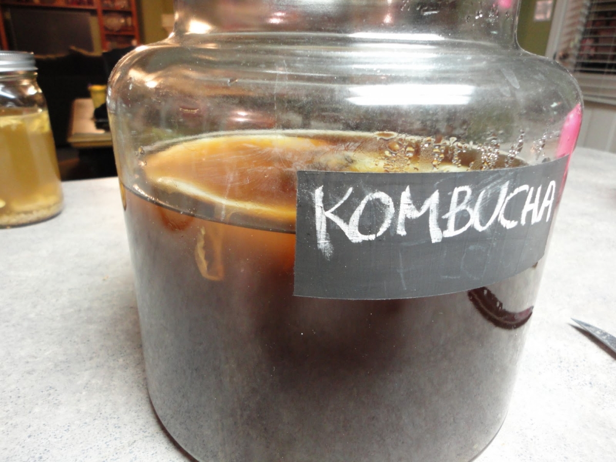 Kombucha gomba
