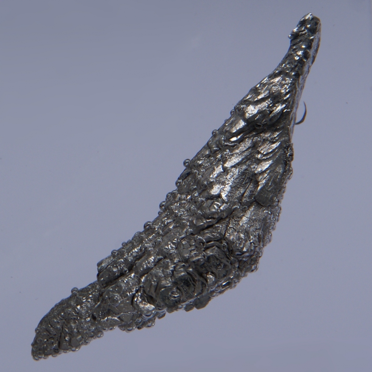 Magnézium és a pajzsmirigy