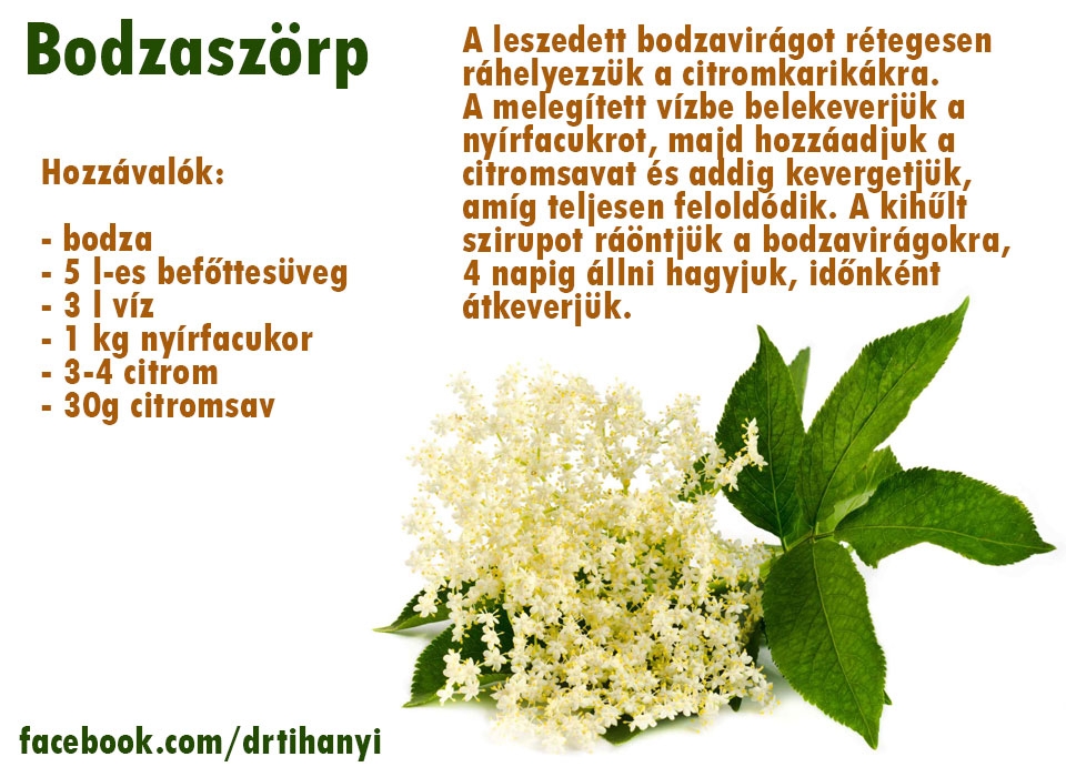 Bodzaszörp készítés