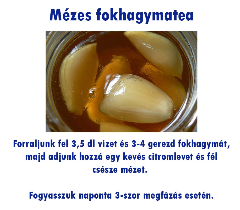 Mézes fokhagymatea