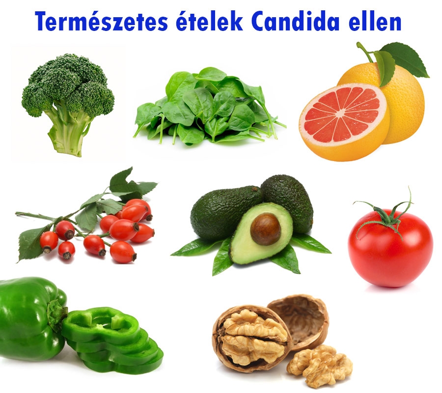 Candida