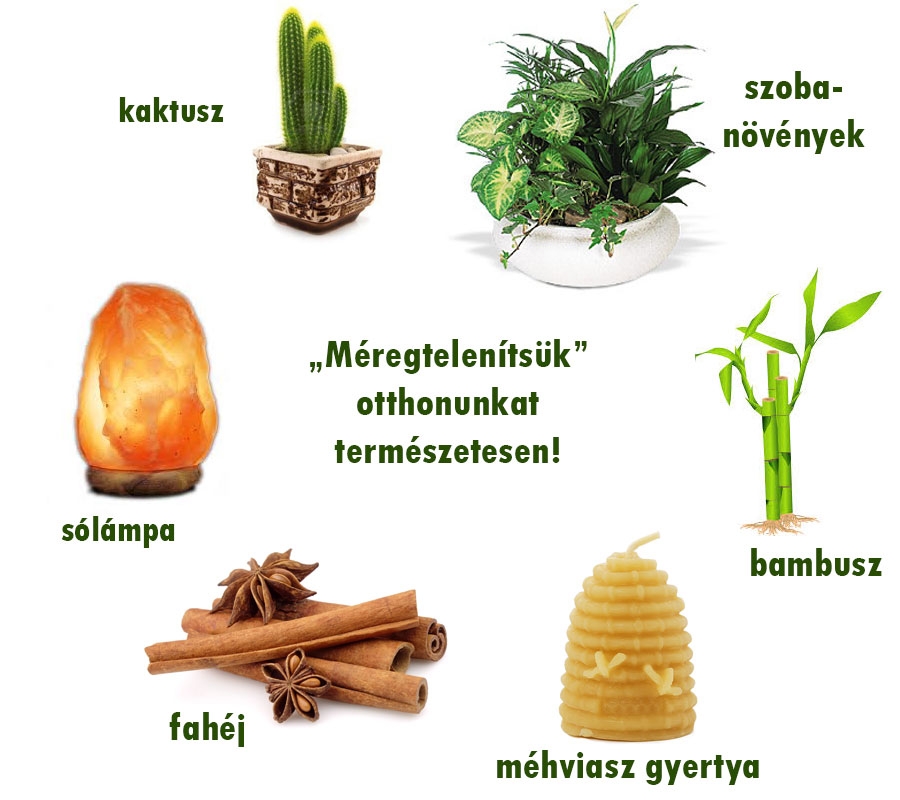 Házi méregtelenítők