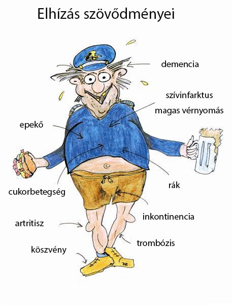 Elhízás szövődményei