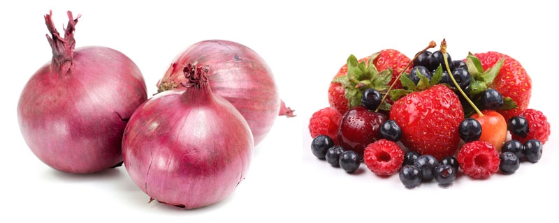 Áfonya és hagyma a rák ellen