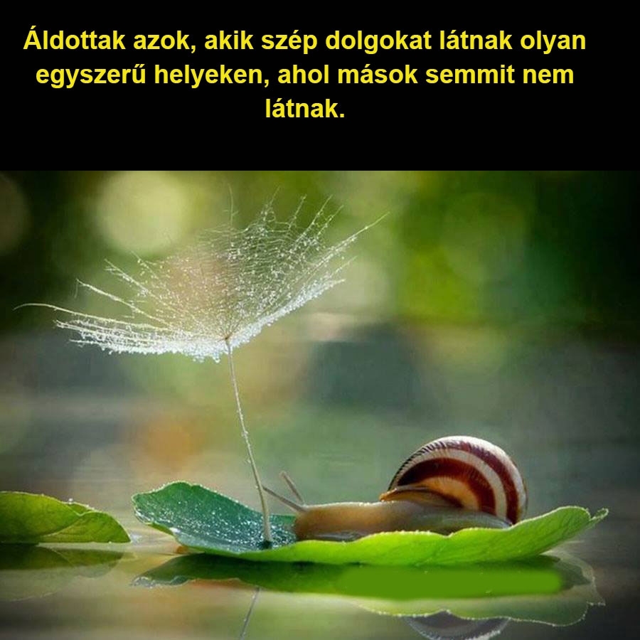 Szép dolgokat látni