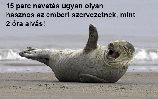 15 perc nevetés