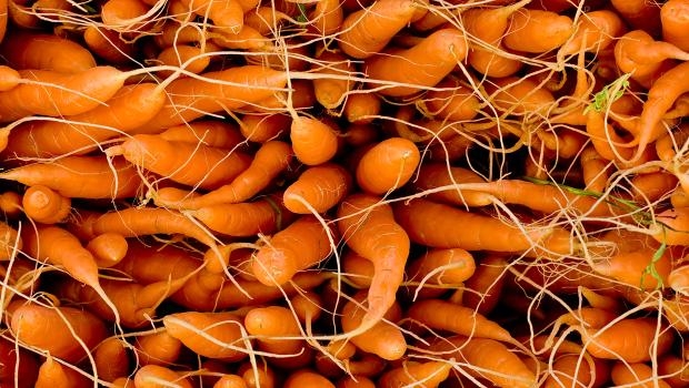 Az A-vitamin számos fontos funkciója