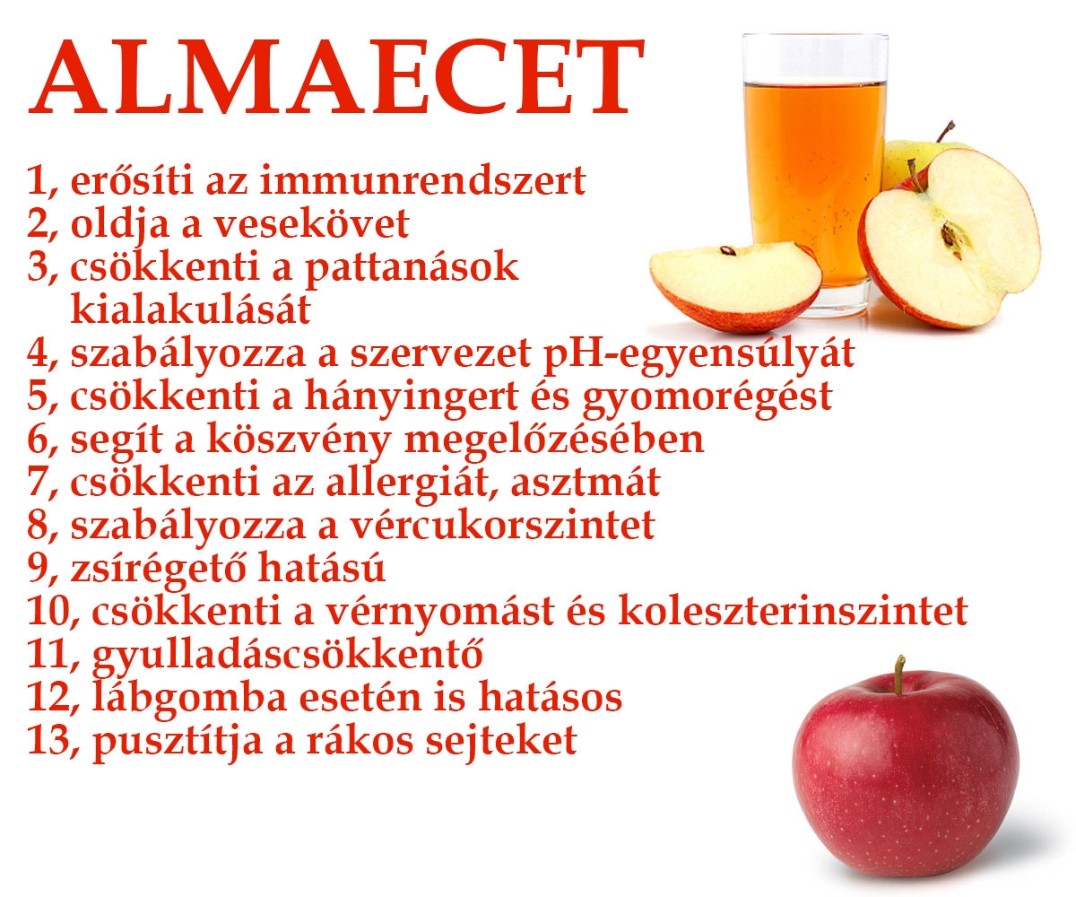Almaecet - 13 ok