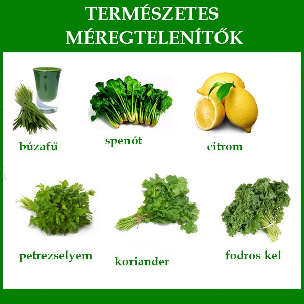 Természetes méregtelenítők