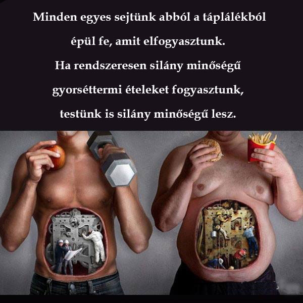 A táplálék, amit elfogyasztunk