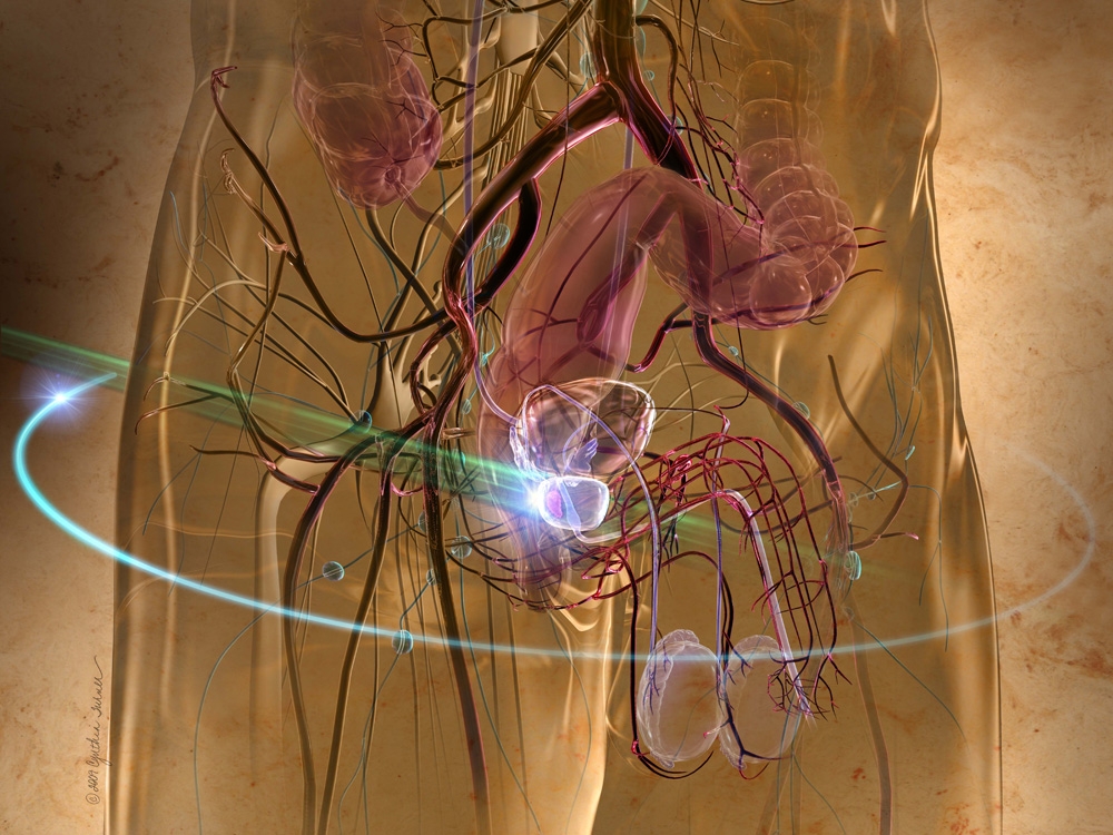A prosztata egészsége