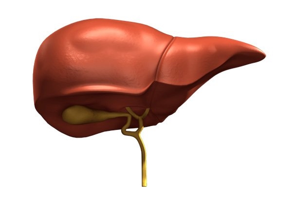 Máj és epehólyag tisztító kúra