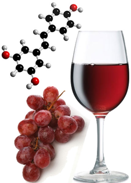 A resveratrol csökkenti a szervezet kalória bevitelét, és hosszabb élethez vezet