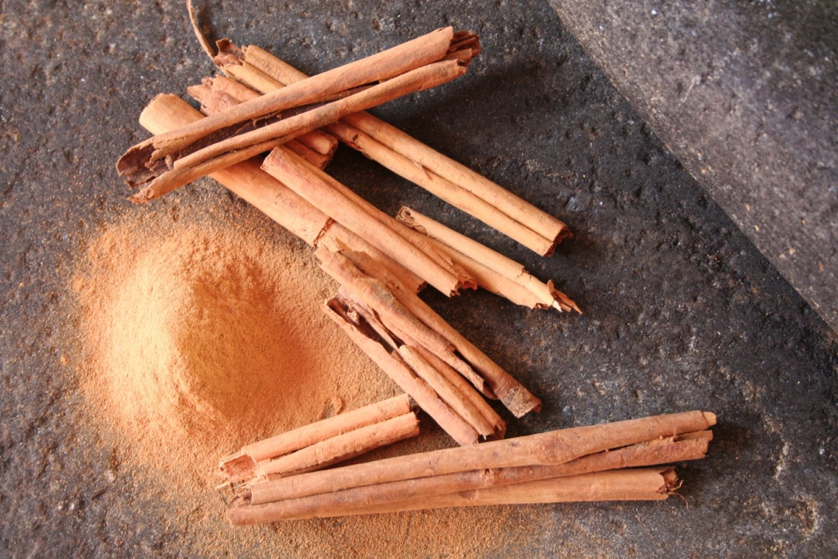 Az élet fűszere – a fahéj jótékony hatásai