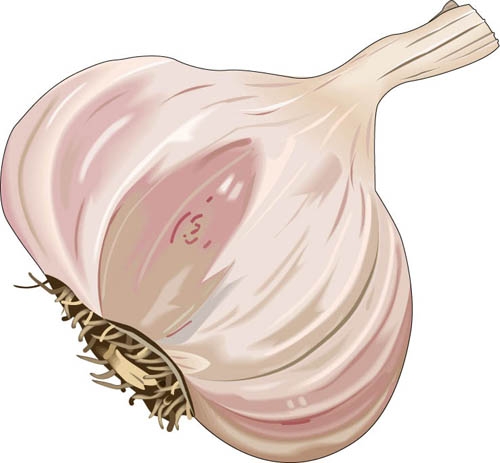 Előzze meg és gyógyítsa magas vérnyomását fokhagymával