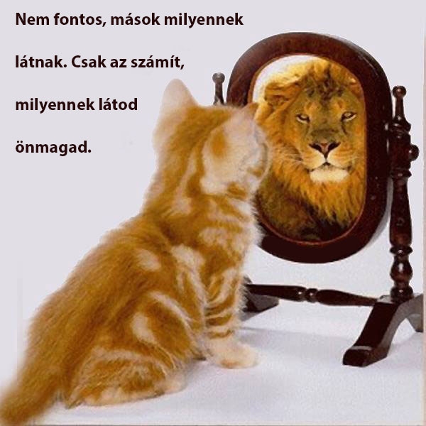 Milyennek látod önmagad?