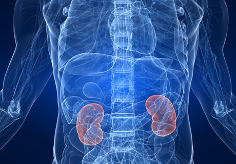 Természetes vesetisztító ételek