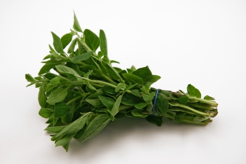 5 hatékony gyógynövény a vércukorszint szabályozására