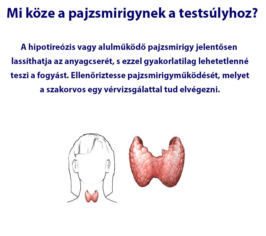 Mi köze a pajzsmirigynek a testsúlyhoz?