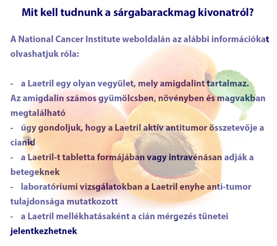 Mit kell tudnunk a sárgabarackmag kivonatról?