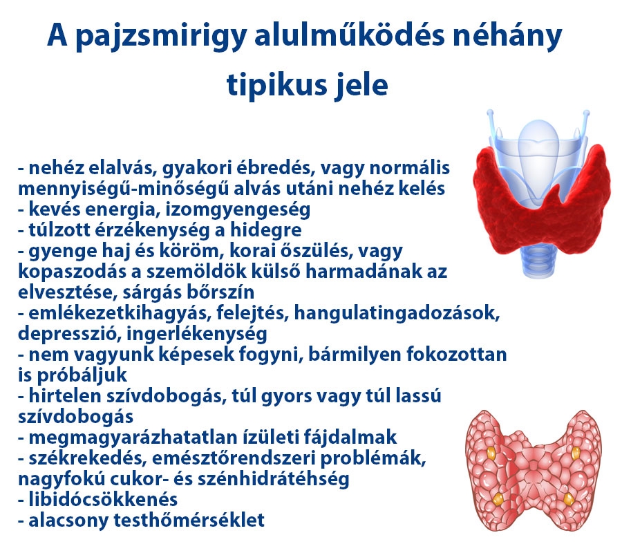 A pajzsmirigy alulműködés néhány tipikus jele
