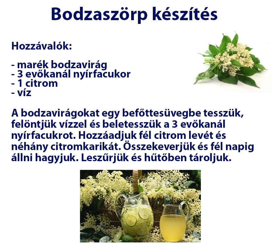 Egészséges bodzaszörp készítés