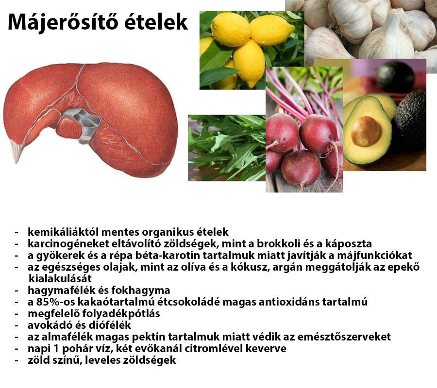 Májerősítő ételek
