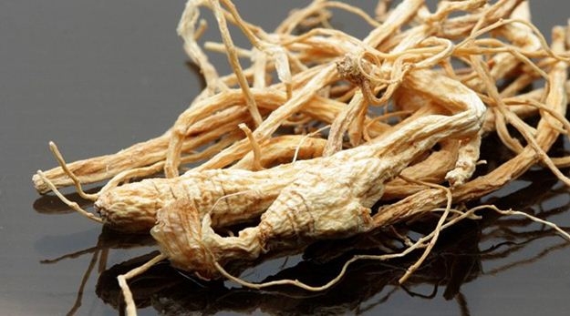A ginzeng segít a rákos betegeknek?