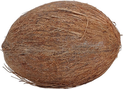 A kókusz hajra gyakorolt jótékony hatása