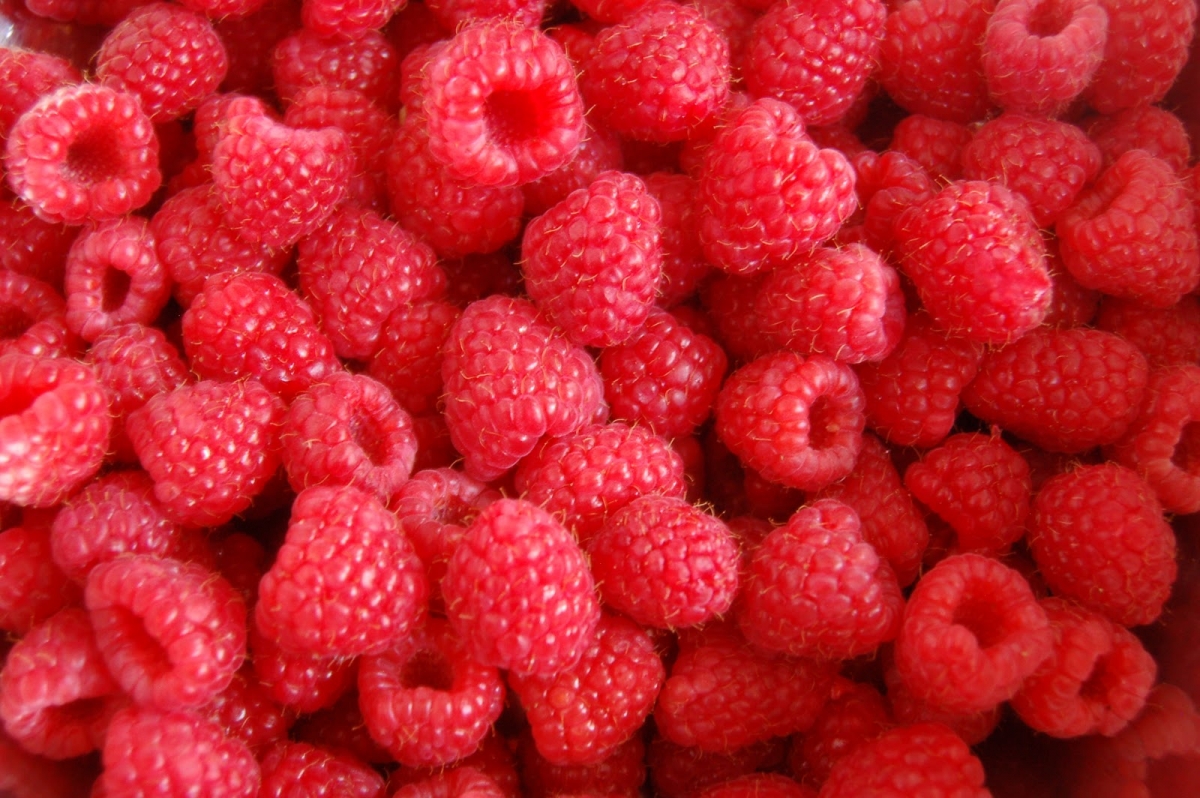 A málna bőrre, hajra és egészségre gyakorolt jótékony hatása