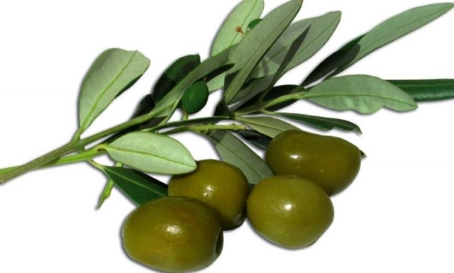 Az olívabogyó egészségre gyakorolt jótékony hatása