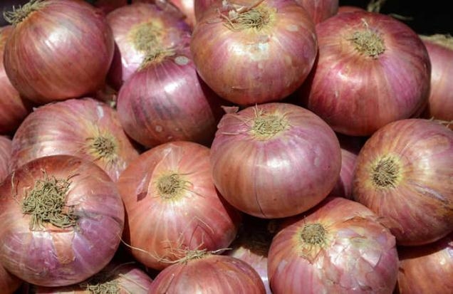 A fokhagyma árnyékában