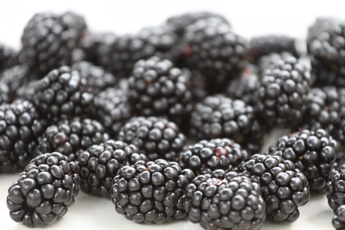 A szeder jótékony hatása