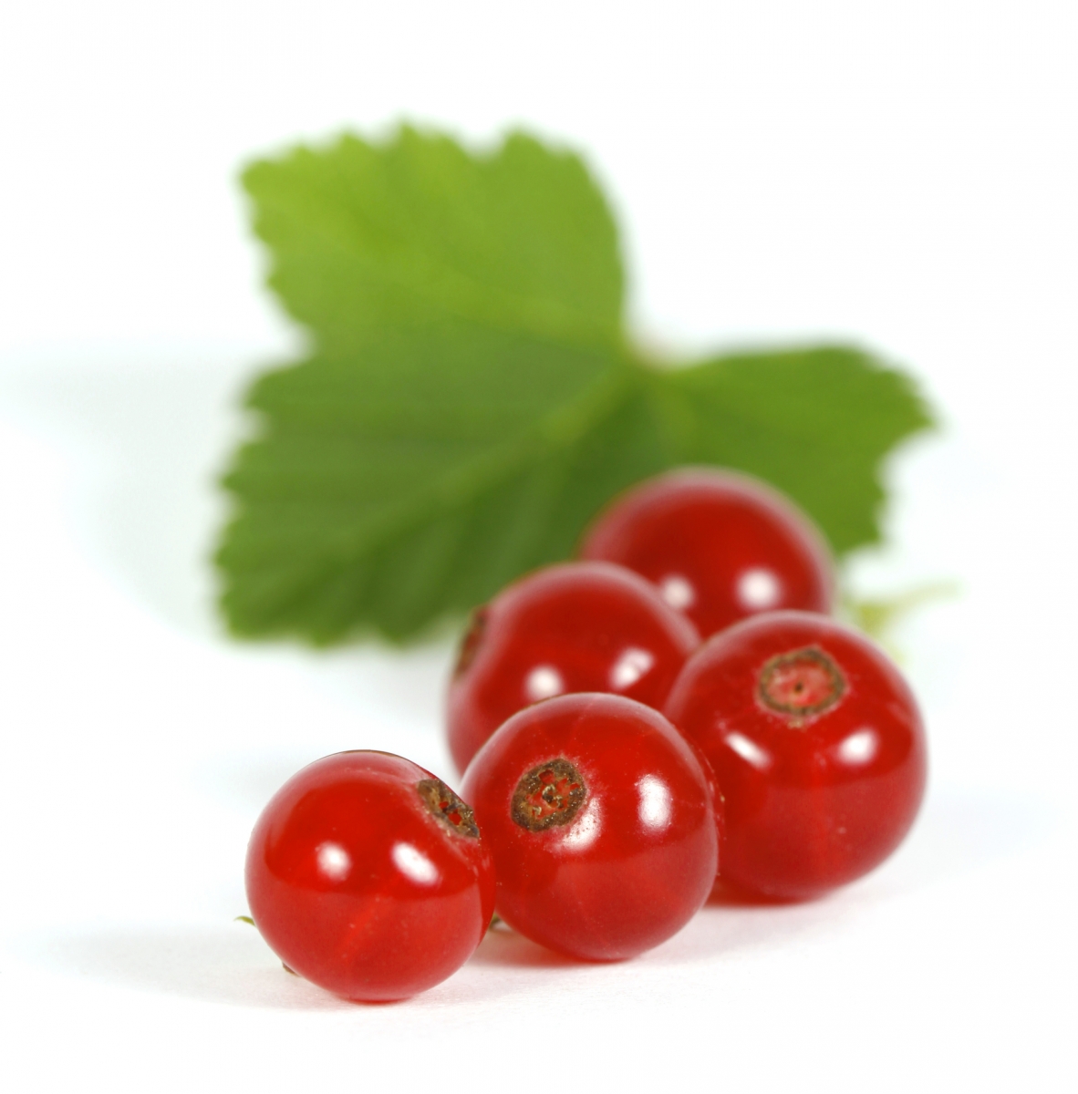 A ribizli egészségre gyakorolt jótékony hatása