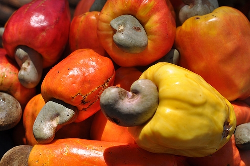 A kesudió egészségre gyakorolt jótékony hatása