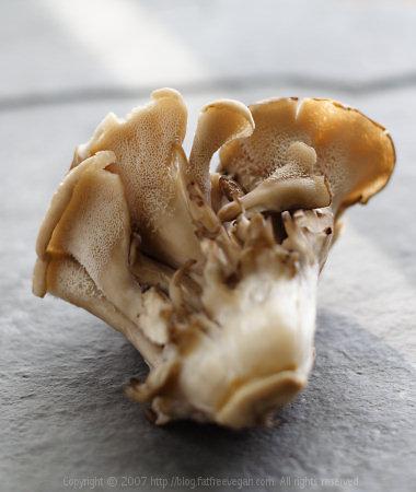 A Maitake SX-frakció szerepe cukorbetegségben