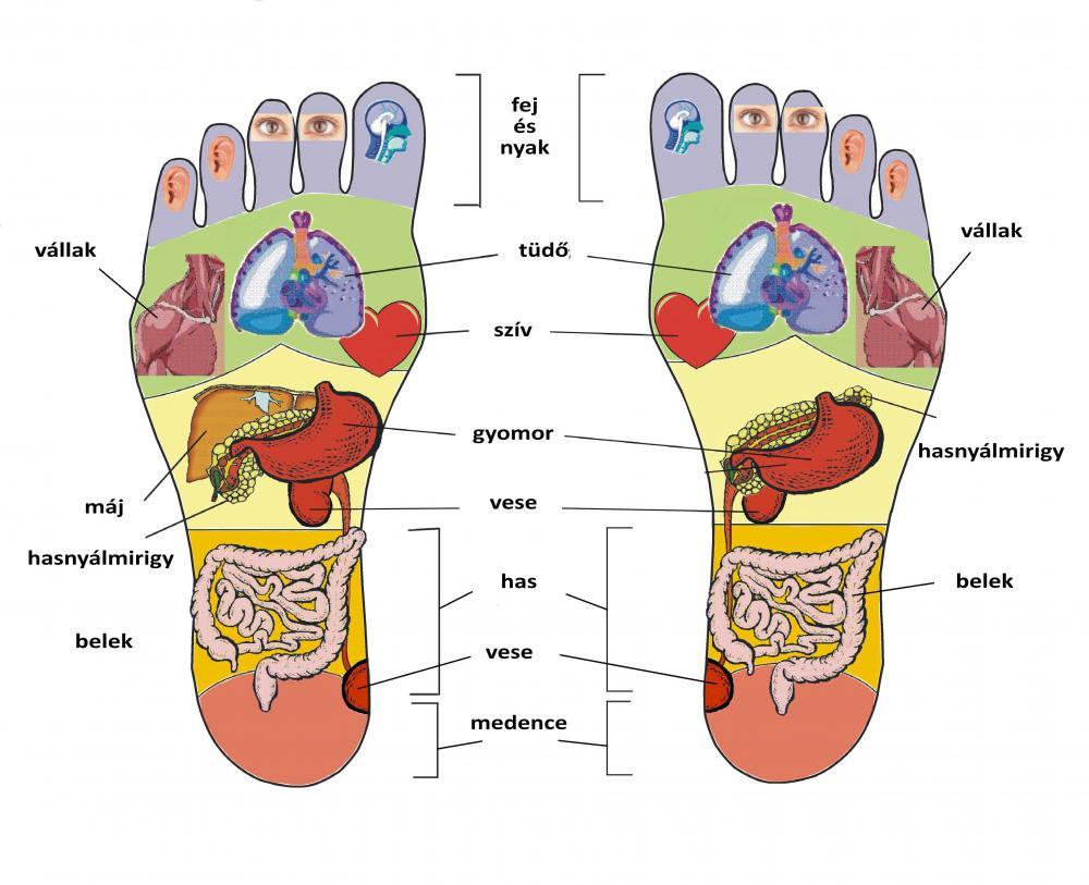 Miért kell minden este megmasszíroznia a talpát?