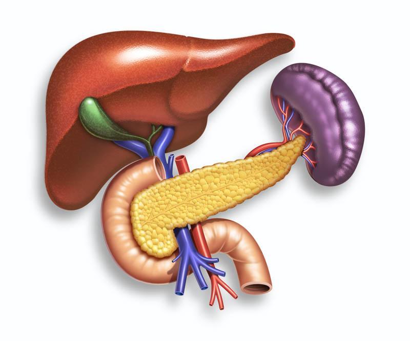 A 10 legjobb étel a hasnyálmirigy egészségének fenntartásához