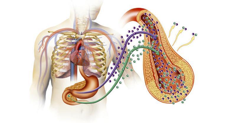 Cukorbetegség, low carb diéták