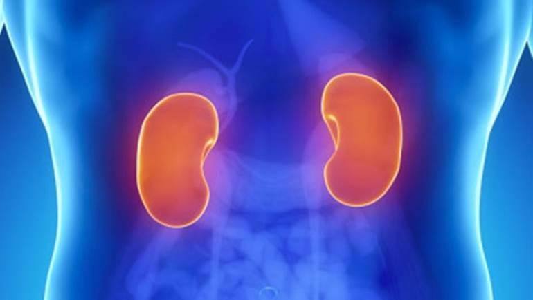 Változtak a vizelési szokásai? Vesebetegségben szenved?