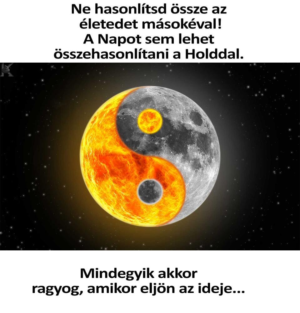 Ne hasonlítsd össze az életedet másokéval!