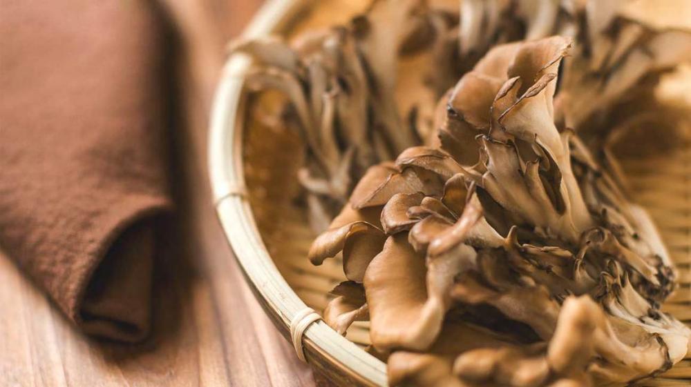 A maitake gomba jótékony hatása a vércukorra, koleszterinre és az immunrendszerre