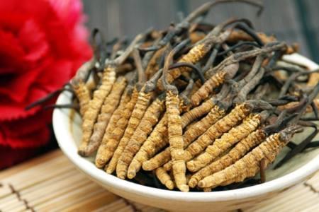 Cordyceps asztmára és 7 egyéb betegségre